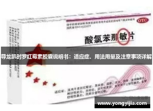 尊龙凯时罗红霉素胶囊说明书：适应症、用法用量及注意事项详解