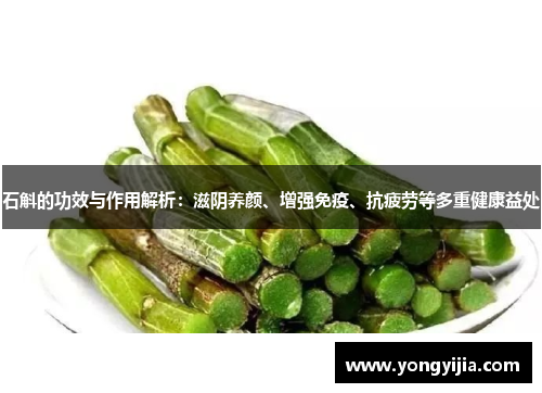 石斛的功效与作用解析：滋阴养颜、增强免疫、抗疲劳等多重健康益处